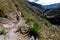 Trekking with llamas on the route from Lares in the Andes