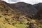 Trekking with llamas on the route from Lares in the Andes