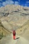 Trekking in the Markha valley in Karakorum mountains near Leh town