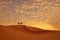 Trekking men on camels in desert under golden sky, AI generate fill