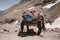 Trekking with a mules in Toubkal, in the Moroccan High Atlas Mountains.