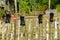 Trekking shoes drying on a wooden fence.