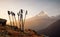 Trekking sticks on mountain top background