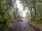 Trekking trail of Acatenango volcano ,Guatemala