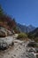 Trekking trail between Gangotri and Gaumukh. Indian Himalayas