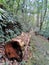 Trekking up to Mahua Waterfall Tambunan, Sabah. Malaysia, Borneo.