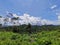 Trekking up to the mountainous in Tambunan, Sabah.