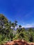 Trekking up to the mountainous in Tambunan, Sabah.