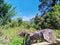 Trekking up to the mountainous in Tambunan, Sabah.