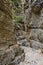 Trekking on a winding path through Imbros gorge near Chora Sfakion, island of Crete