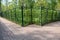 Trellis covered path in a park