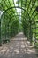 Trellis covered path in a park