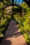 Trellis Covered Rose Garden Walkway