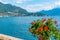 Tremezzo viewed behind flowers, Italy