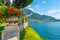 Tremezzo viewed behind flowers, Italy