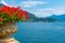 Tremezzo viewed behind flowers, Italy