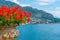 Tremezzo viewed behind flowers, Italy