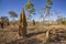 Tremite mound in Kakadu National Park, Australia