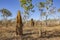 Tremite mound in Kakadu National Park, Australia