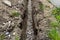 A trench dug in the yard along the fence to lay the drainage pipe, visible gravel.