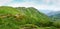 Trench of First World War overgrown with grass in Carpathians