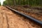 Trench in ground for laying pipeline of natural gas. Building of transit petrochemical pipe in forest area. Carry diluted bitumen