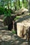 Trenches at Sanctuary Wood Museum on Hill 62