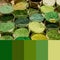 Trend 2020 Color palette with colorful beads. Collage with natural green colors swatch