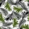 Trend summer seamless pattern with tropical green black plants on a white background.