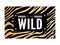 Trend wild zebra element with tiger signs. Believe in love and love yourself vintage leopard style, jaguar fashion