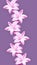 Trends flower collage: pink hyacinths on a pastel purple background. Minimalism.