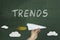 Trends word on chalkboard.