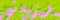 Trendy abstract lime green and baby pink flow liquid shapes. Dynamic psychedelic candy composition