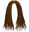 Trendy african long hair dreadlocks . fashion beauty style .