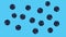 trendy animation or background or pattern of food, fruits from a lot of shaking blueberries on a blue background