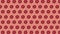 trendy colorful repeating pattern from a photo of half a grapefruit on a orange background.