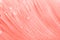 Trendy coral colored floral background