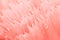 Trendy coral colored floral background