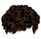 Trendy curly hairs dark brown brunette. medium length . beauty s