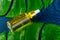 Trendy dropper bottle with white pipette and yellow liquid on classic blue background with water drops and green leaf