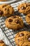 Trendy Five Ingredient Chocolate Chip Cookies