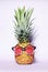 Trendy funny pineapple