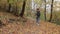 Trendy hipster girl walking the dog in autumn park