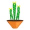 Trendy house cactus pot icon, cartoon style