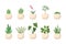 Trendy indoor growth green plant in pot set