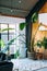 Trendy interior with concrete floor and steel windows and many houseplants. Bird of paradise plant. Barn wood wall.