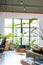 Trendy interior with concrete floor and steel windows and many houseplants. Bird of paradise plant. Leather sofa.
