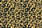 Trendy leopard pattern background. Hand drawn fashionable wild animal cheetah skin brown texture for fashion print design, cover,