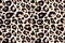 Trendy leopard pattern background. Hand drawn fashionable wild animal cheetah skin natural texture for fashion print design,