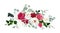 Trendy magenta flowers vector design bouquet. Hot pink roses, barbie pink ranunculus, white peony, dark orchid